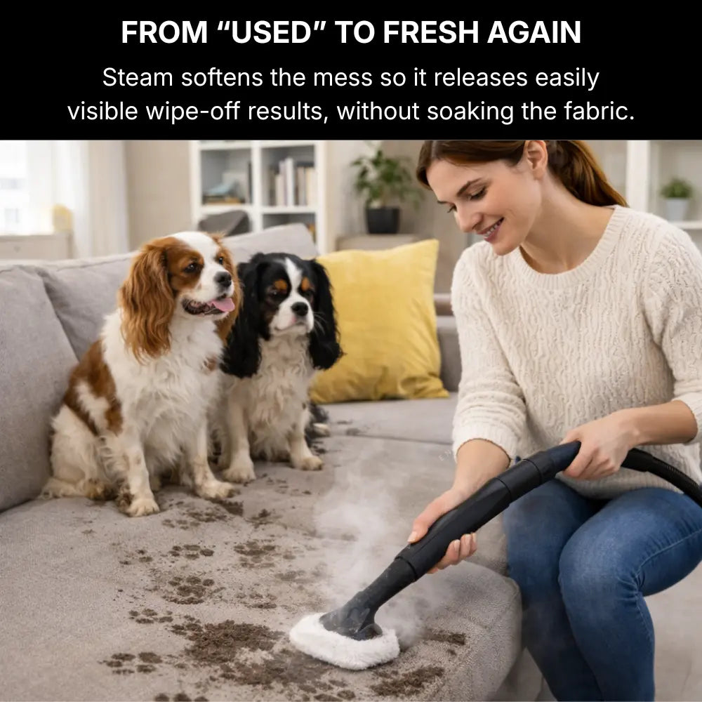 Portable Handheld Steam Cleaner