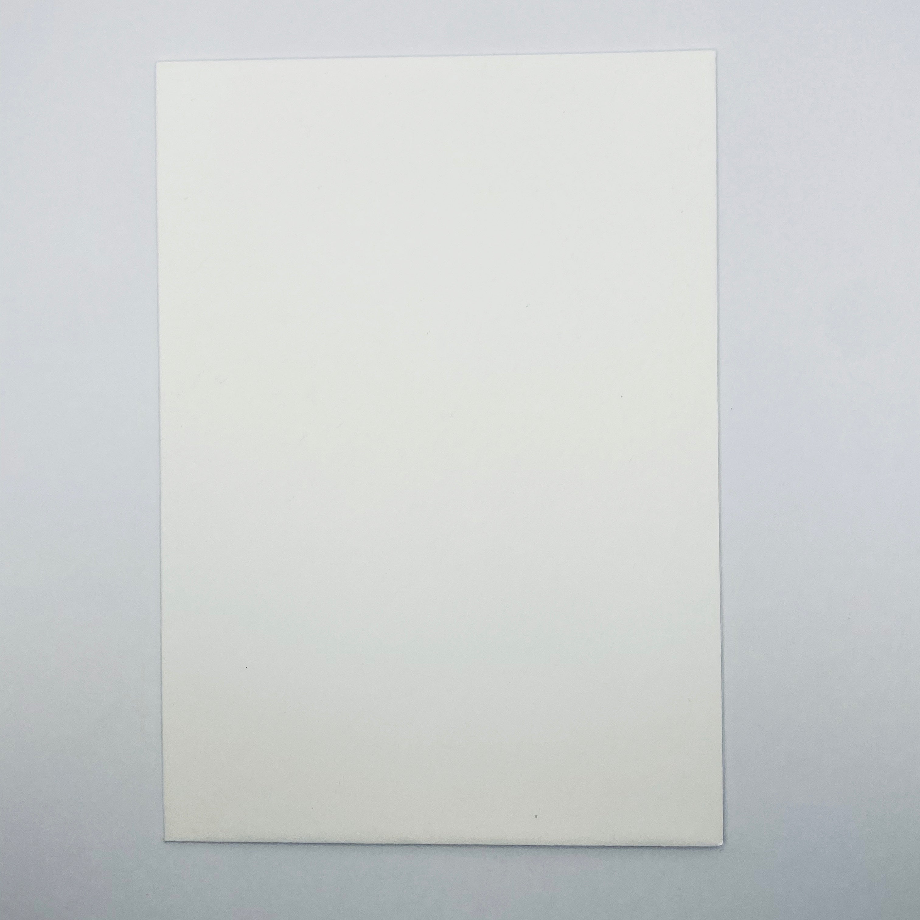 Bravely Empowered Greeting Card