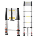 Multi-purpose Telescoping Ladder